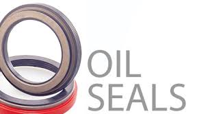 oil seals